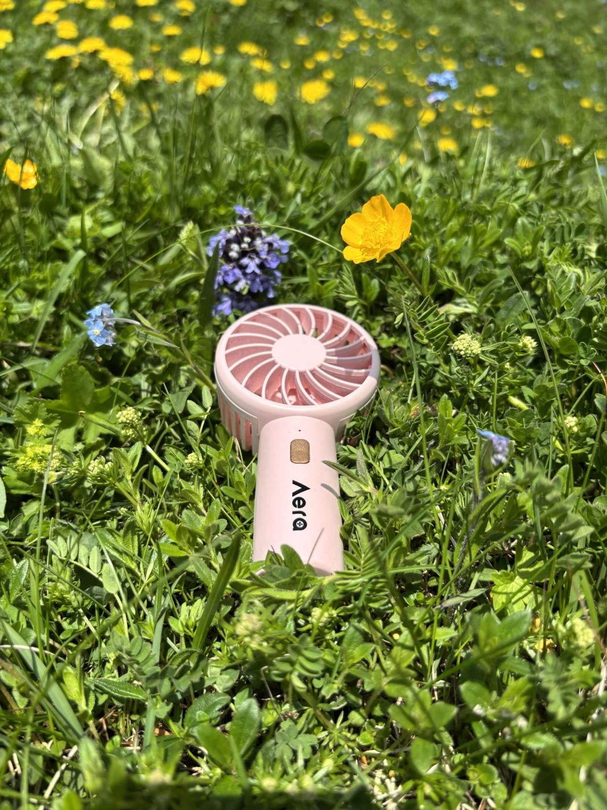 Aera Mini Fan