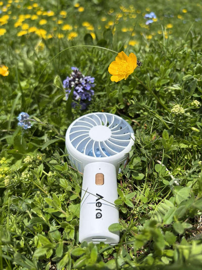 Aera Mini Fan