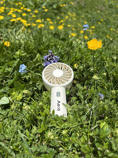 Aera Mini Fan